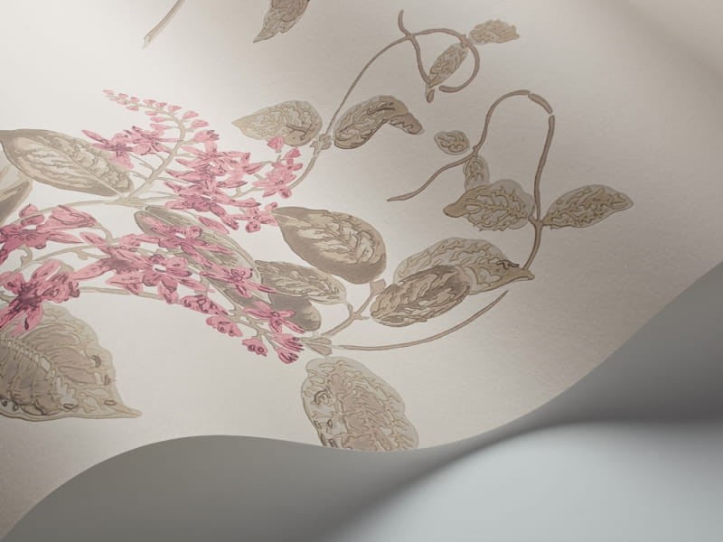 Tapeta Cole & Son Archive Anthology 100/12058 Madras Violet