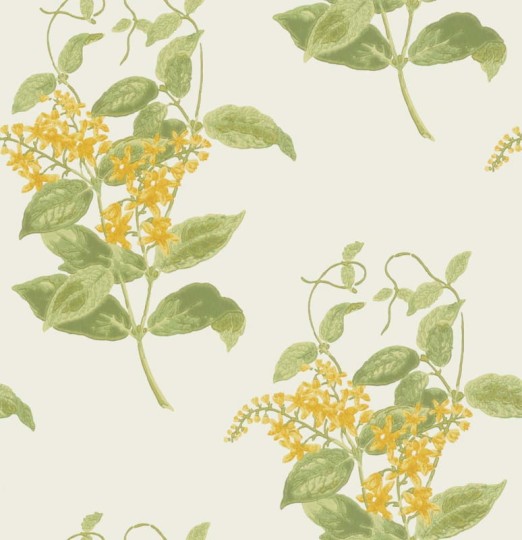Tapeta Cole & Son Archive Anthology 100/12059 Madras Violet