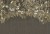 7b36770604ef99c013f3c8ce313a31dc