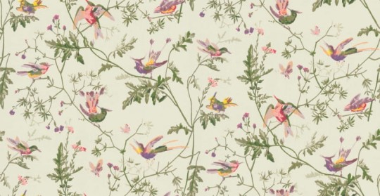 Tapeta Cole & Son Archive Anthology 100/14070 Hummingbirds