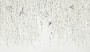 82212becdba6bac0ab978d0e8cf41be9