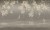 91400496b61c64659ac48d44a512057f