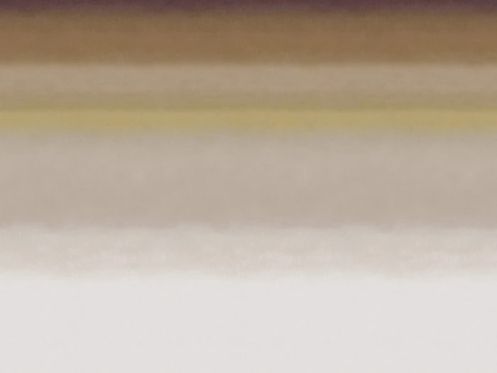 4472f2331f56ca538510f041c8f67f04