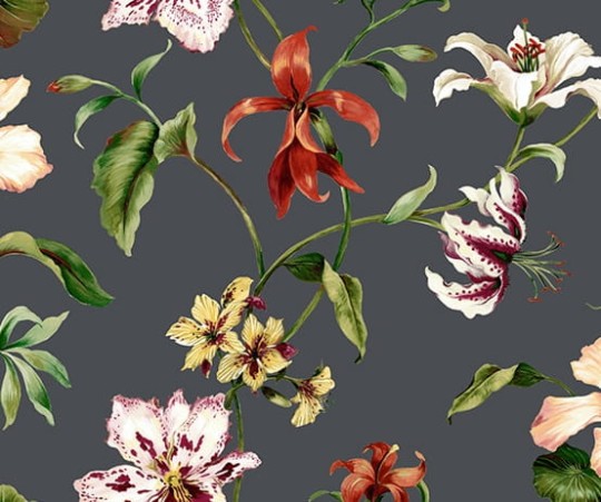 Tapeta Wallquest - Charleston Home - jb50100