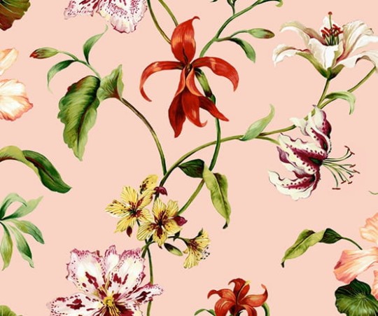 Tapeta Wallquest - Charleston Home - jb50101