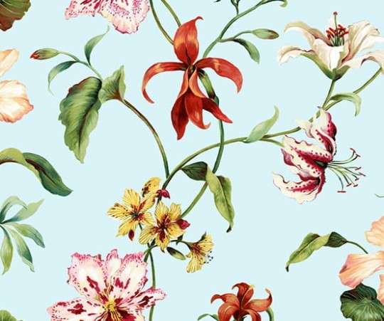Tapeta Wallquest - Charleston Home - jb50102