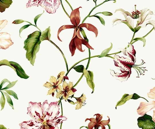 Tapeta Wallquest - Charleston Home - jb50110