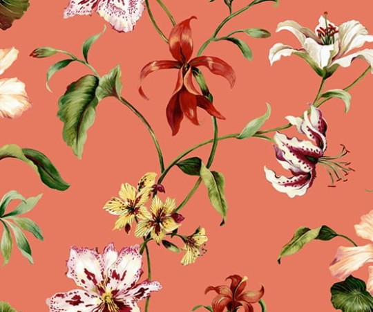 Tapeta Wallquest - Charleston Home - jb50111