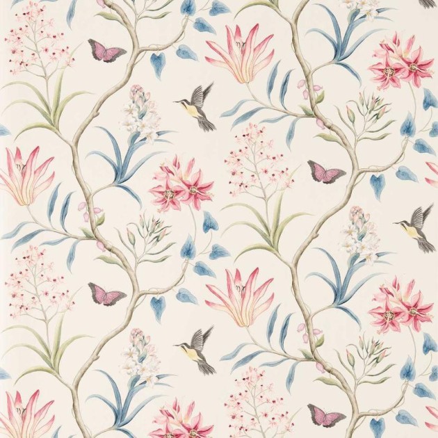 Sanderson DVOY213387 Curios Clementine Indienne - tapeta w tropikalne kwiaty i kolibry