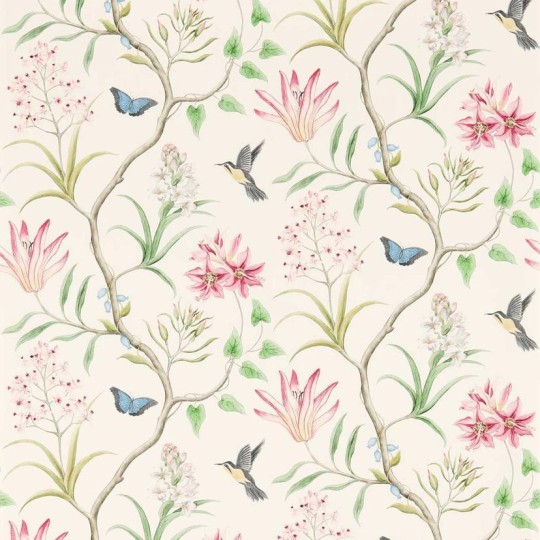Sanderson DVOY213388 Curios Clementine Chintz - tapeta w tropikalne kwiaty i kolibry