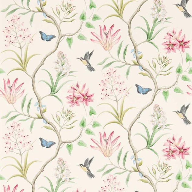 Sanderson DVOY213388 Curios Clementine Chintz - tapeta w tropikalne kwiaty i kolibry