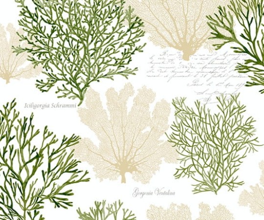 Tapeta Wallquest - Charleston Home - jb51500