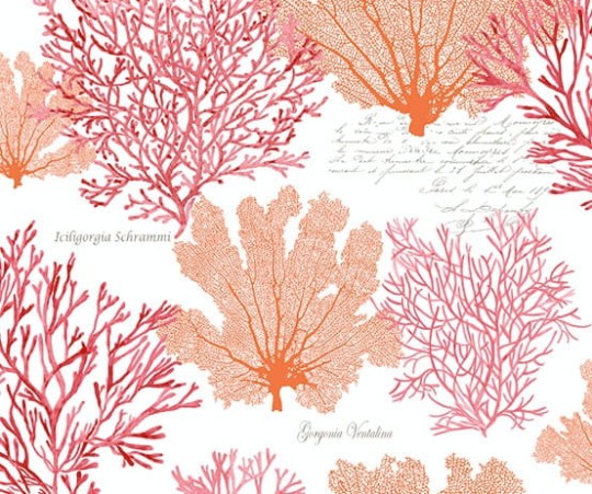 Tapeta Wallquest - Charleston Home - jb51501