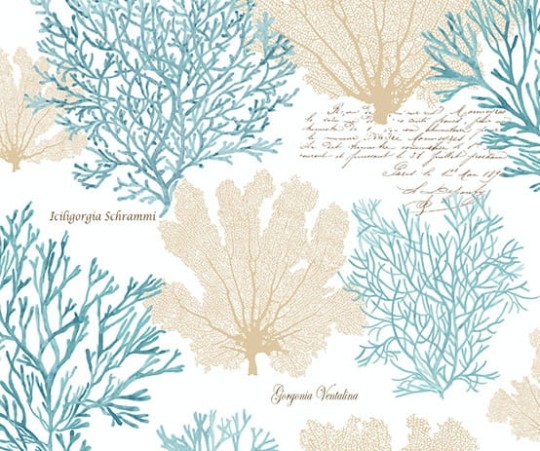 Tapeta Wallquest - Charleston Home - jb51502