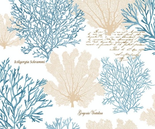 Tapeta Wallquest - Charleston Home - jb51508