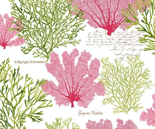 Tapeta Wallquest - Charleston Home - jb51509