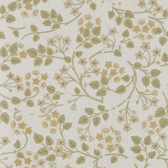 Sanderson DHIP217515 Highgrove Silver Lime Lichen - tapeta z wzorem florystycznym