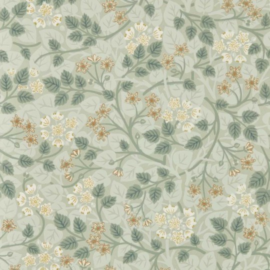 Sanderson DHIP217516 Highgrove Silver Lime Nymph - tapeta z wzorem florystycznym