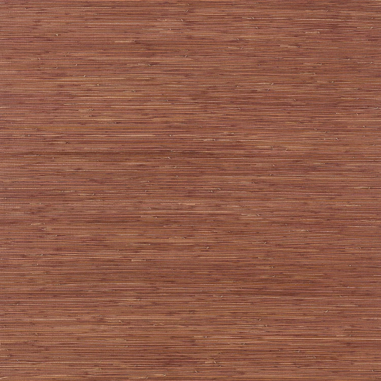d243870d25a68020b8f513d993001b91