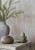 0ac819c4ab15a04a12b10bb12e0d341a