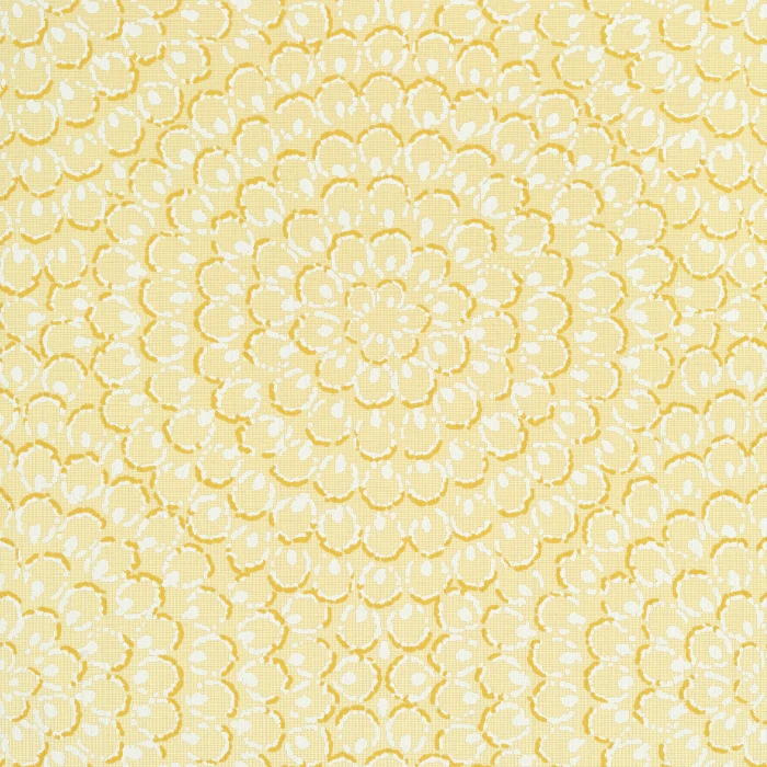 117f05fdb6f90e7ca5a33a874d86cdab