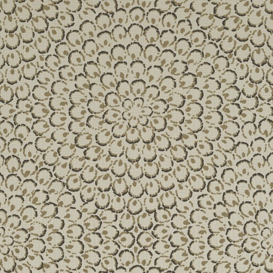 Thibaut T4035 Surface Resource Aster Charcoal - tapeta w duże kwiaty