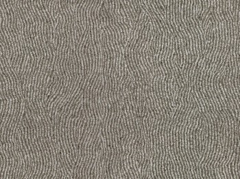 817d5ba95e4929ed2780a4dd4d96a7e8