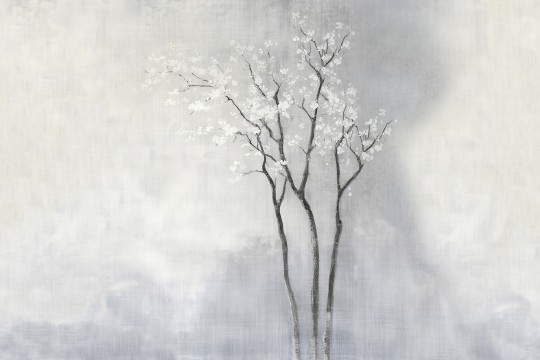Wall&decò WDWS2602 Contemporary 2026 White Spring - mural w drzewo na zamglonym tle