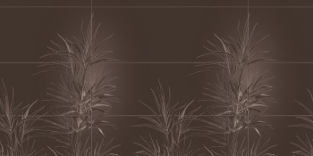 cf9d5fbf47dc157b20554cb136d738ac
