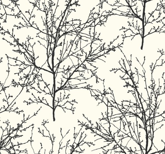 Tapeta Wallquest Black & White BW22400