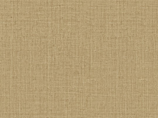Omexco INT243 Intuition - tapeta z rafii
