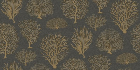 Tapeta Cole & Son Curio  107/2006 Seafern