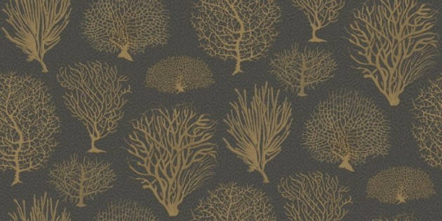 Tapeta Cole & Son Curio  107/2006 Seafern