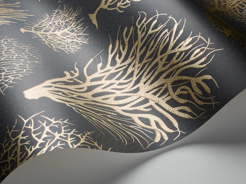 Tapeta Cole & Son Curio  107/2006 Seafern