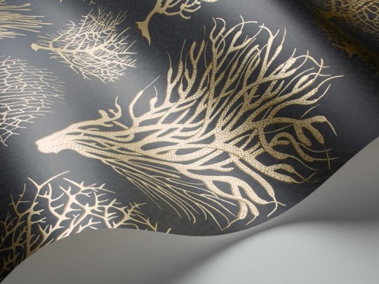 Tapeta Cole & Son Curio  107/2006 Seafern