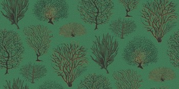 e539629c3fcc400c0c9a8206dda955d5