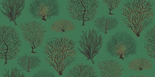 Tapeta Cole & Son Curio  107/2007 Seafern