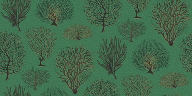 Tapeta Cole & Son Curio  107/2007 Seafern