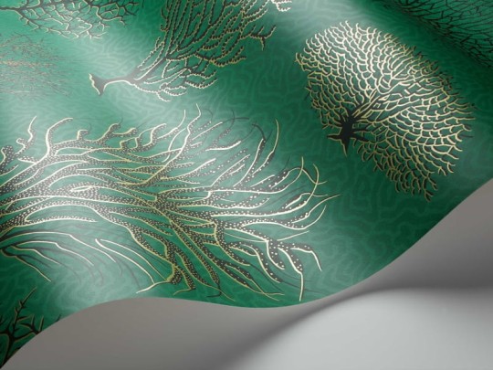 Tapeta Cole & Son Curio  107/2007 Seafern