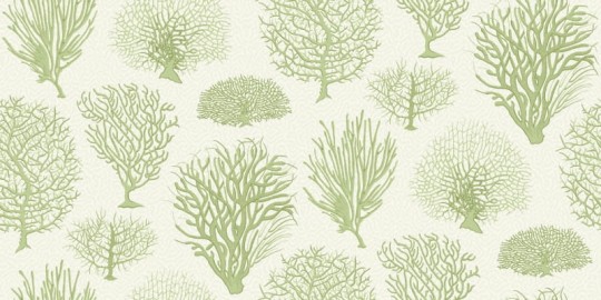 Tapeta Cole & Son Curio  107/2008 Seafern