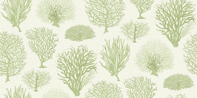 Tapeta Cole & Son Curio  107/2008 Seafern