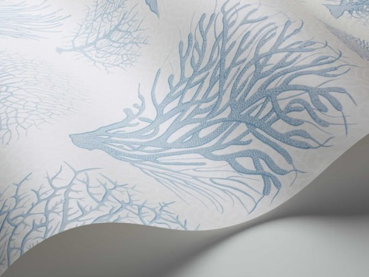 Tapeta Cole & Son Curio  107/2009 Seafern
