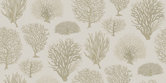Tapeta Cole & Son Curio  107/2010 Seafern