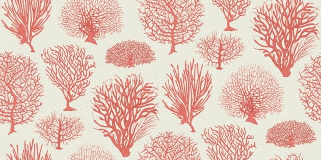 Tapeta Cole & Son Curio  107/2011 Seafern