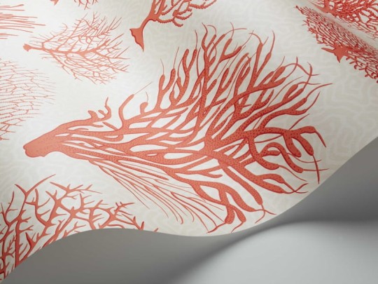 Tapeta Cole & Son Curio  107/2011 Seafern