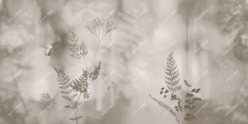 d95578081b7ea082ca4379a2385a7800