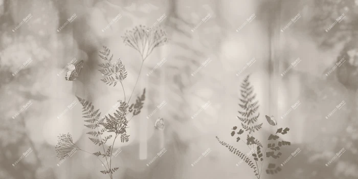 d95578081b7ea082ca4379a2385a7800