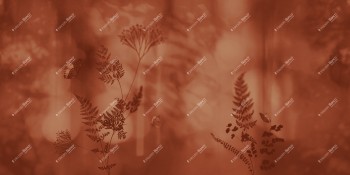 b067cf16c524c56de0546145b1ca6aba