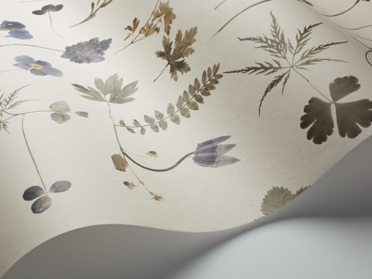 Tapeta Eco Simplicity 3660 Botanica