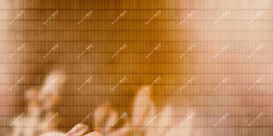 Inkiostro Bianco INKISSU2502 Flamenco Armonia - mural w lilie imitujący płytki